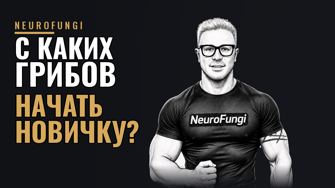 С каких грибов начать новичку?