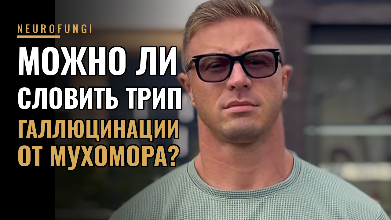 Можно ли словить трип или галлюцинации от мухомора?