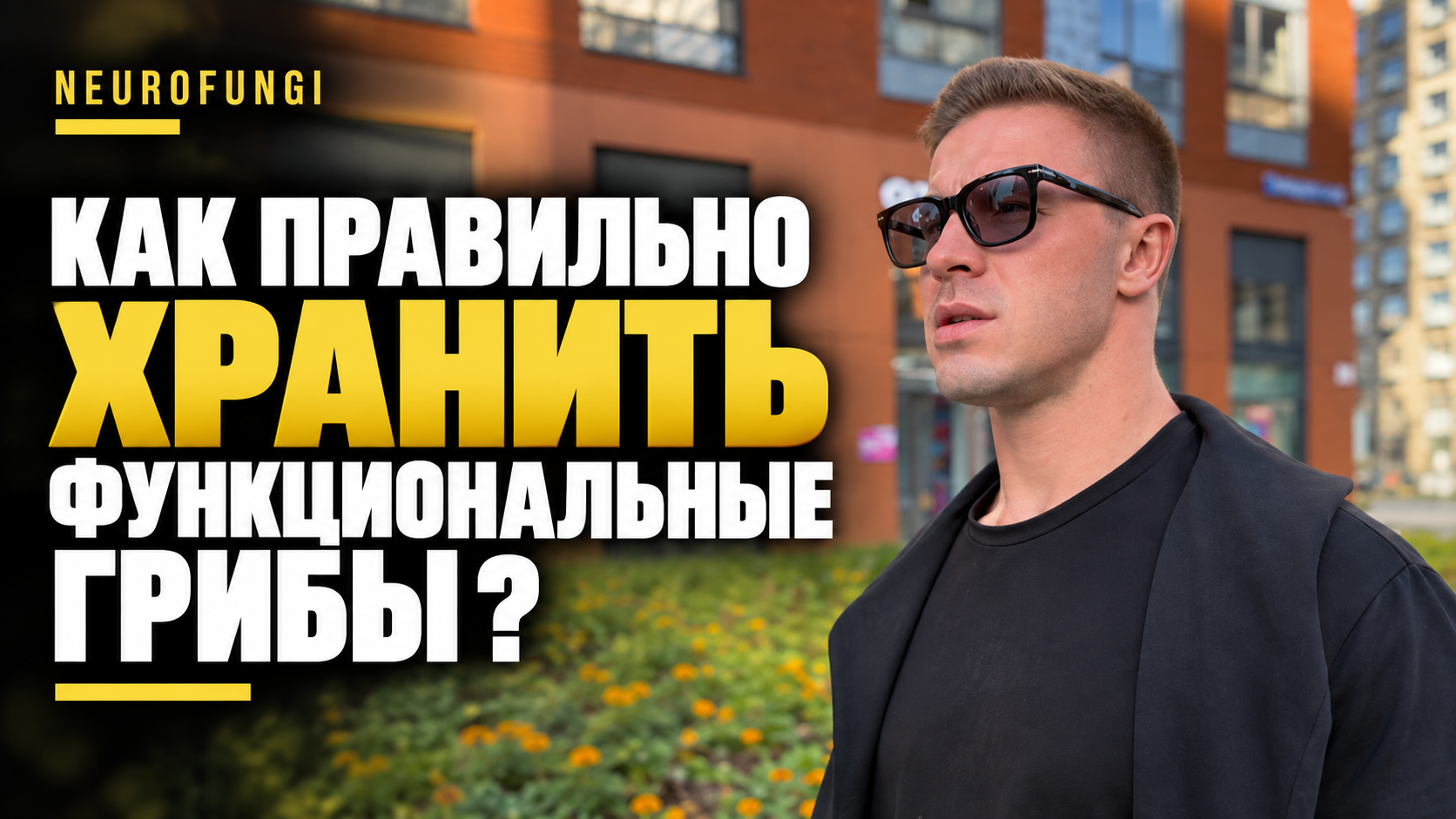 Как правильно хранить функциональные грибы ?