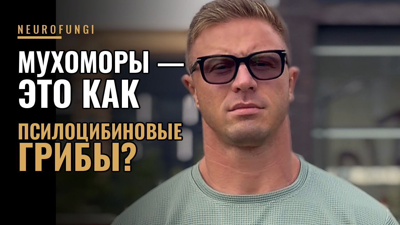 Мухоморы - это как псилоцибиновые грибы?