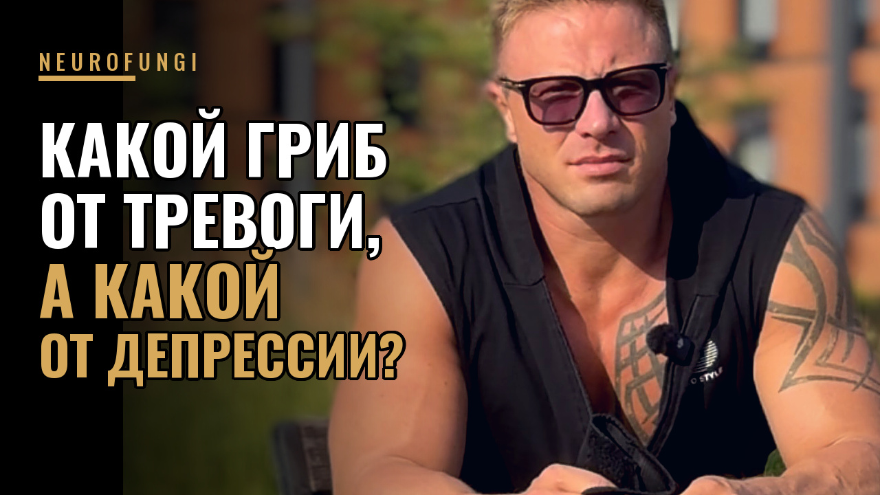 Какой гриб от тревоги , а какой от депрессии?