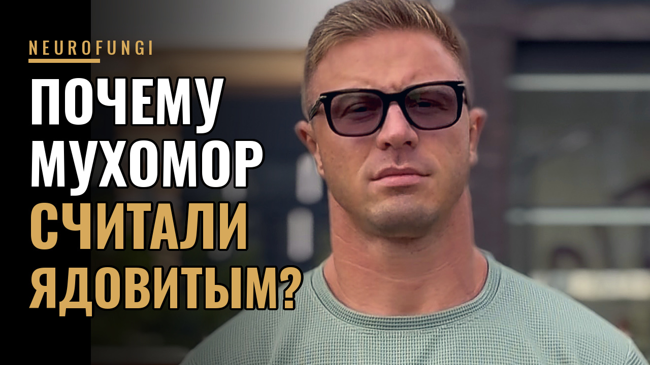 Мухомор же ядовитый — как его принимают?