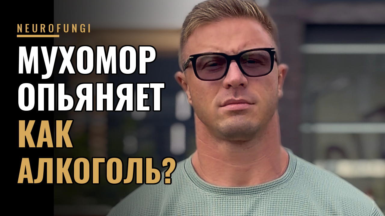 Применение мухомора опьяняет, как алкоголь?