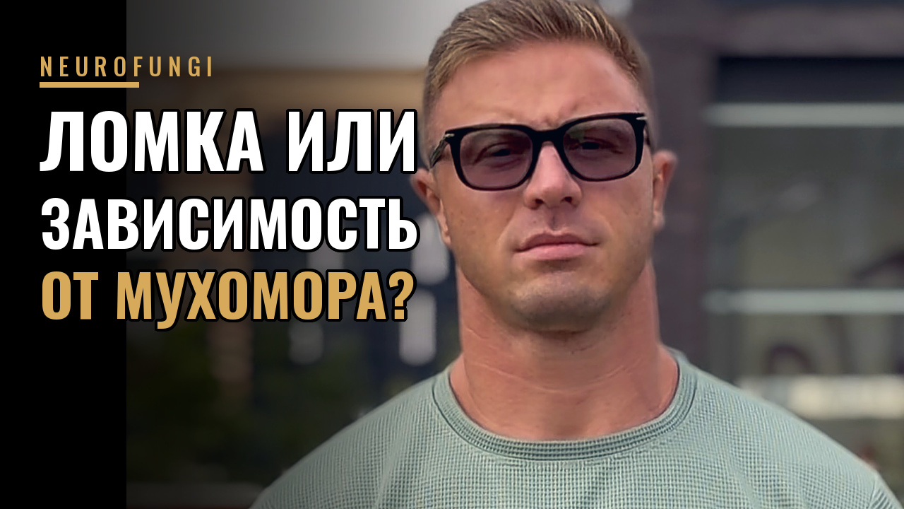 Будет ломка или зависимость от мухомора, как от наркотиков?