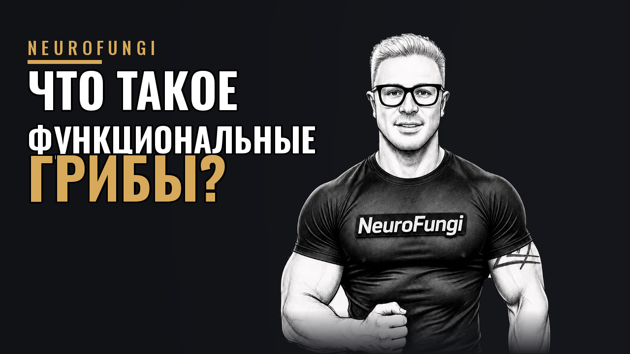 Что такое функциональные грибы?