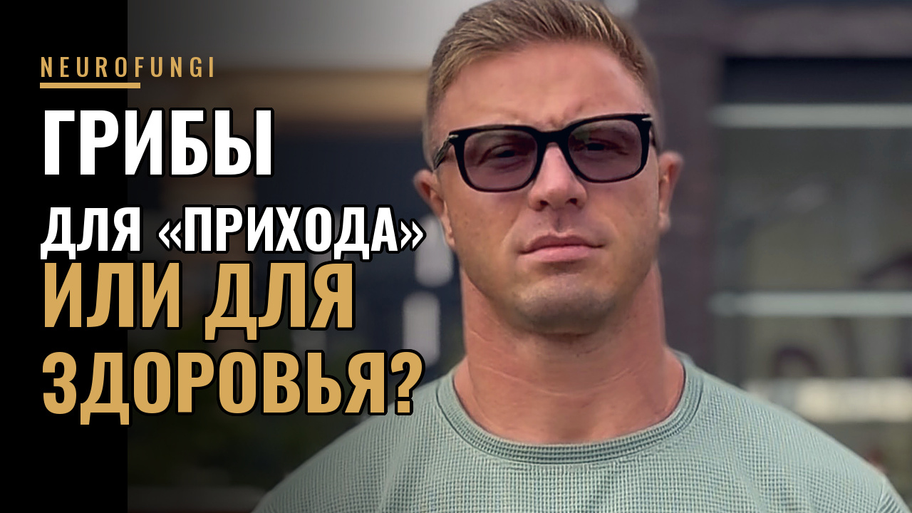 Применение грибов для «прихода» или для здоровья?