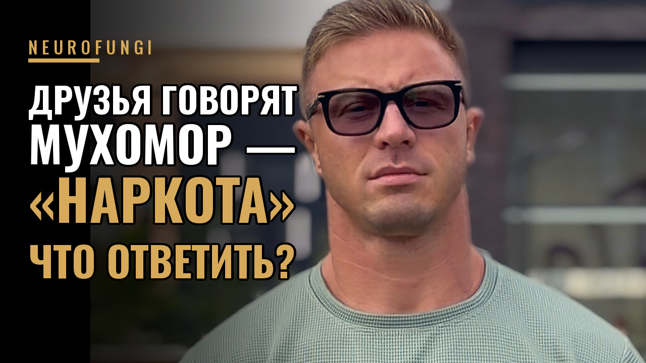 Друзья говорят, что гриб «наркота» — что ответить?
