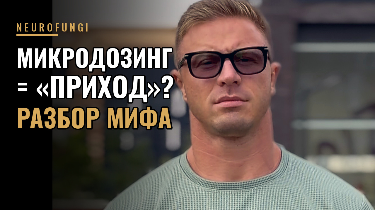 Можно ли поймать «приход» с микродозы мухомора?
