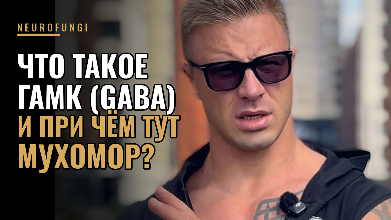 Что такое ГАМК (GABA) и при чём тут мухомор?