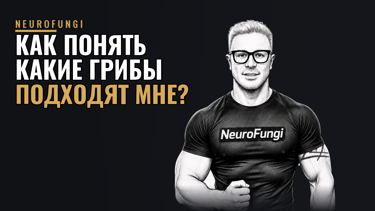 Как понять, какие грибы подходят мне?