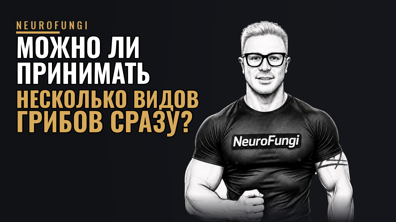 Можно ли принимать несколько видов грибов  сразу?