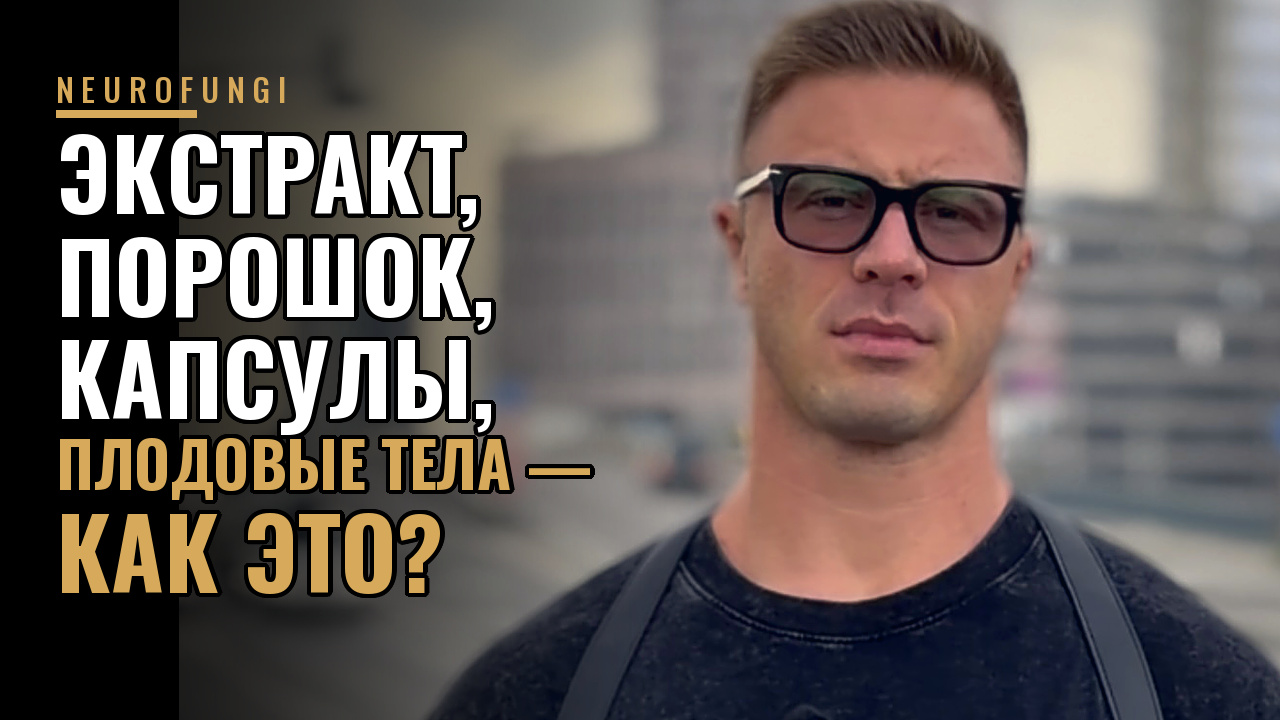Как выглядит кондиция грибного экстракта, плодового тела, молотого гриба и молотого гриба в капсулах?