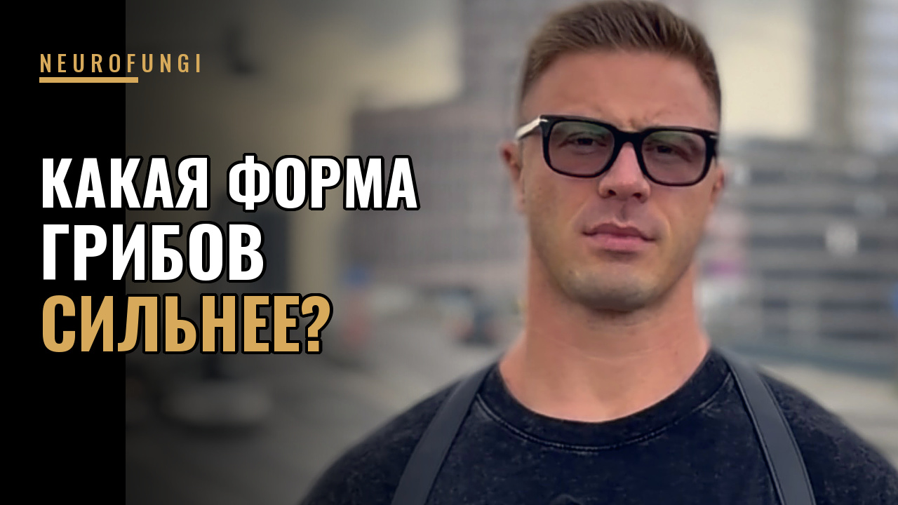 Какая форма грибов сильнее?