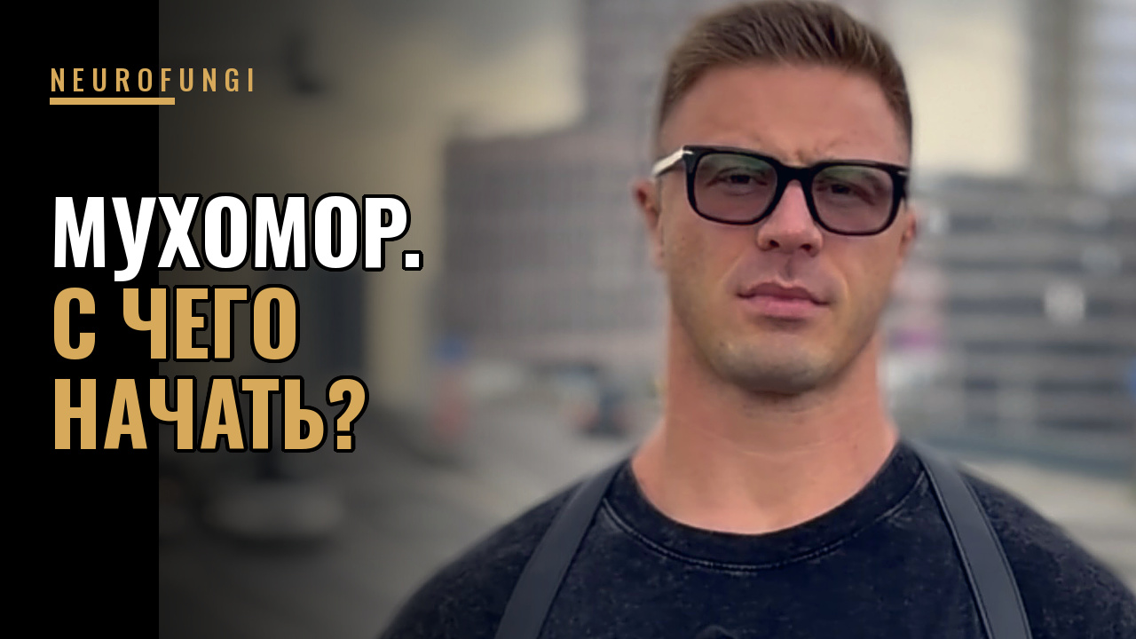 С какой дозировки начинать мухомор?