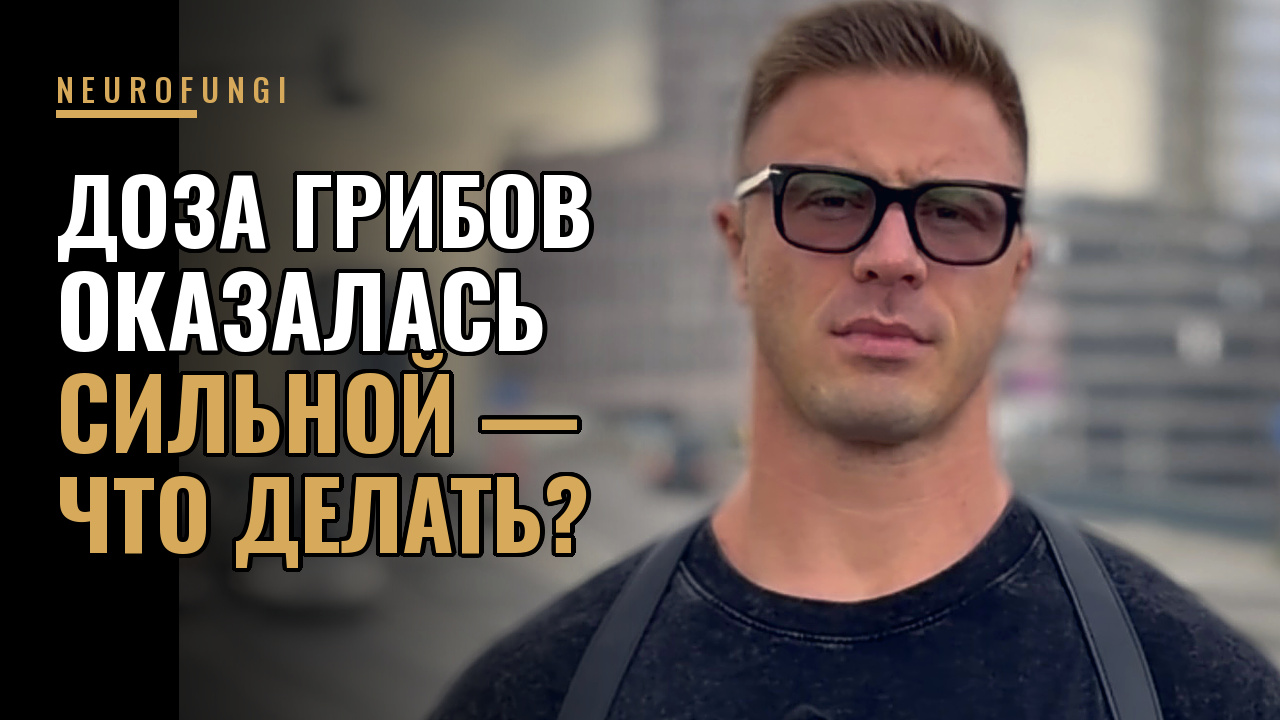 Что делать, если дозировка грибов оказалась сильной?