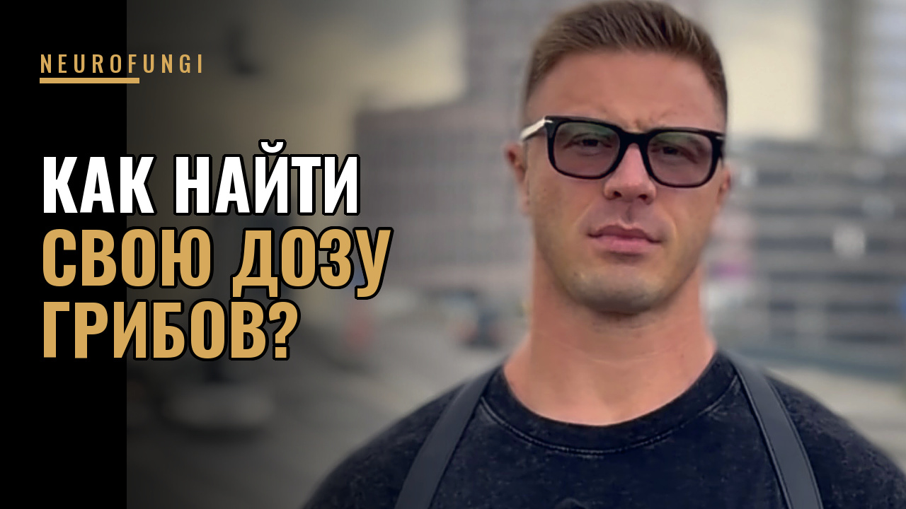 Как правильно повышать дозировку грибов?