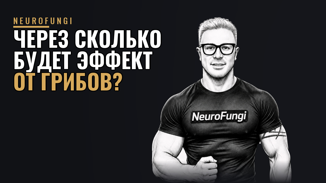 Через сколько будет эффект от грибов ?