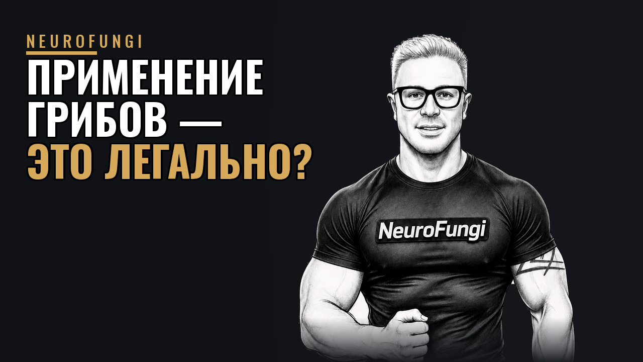 Применение грибов - это легально?