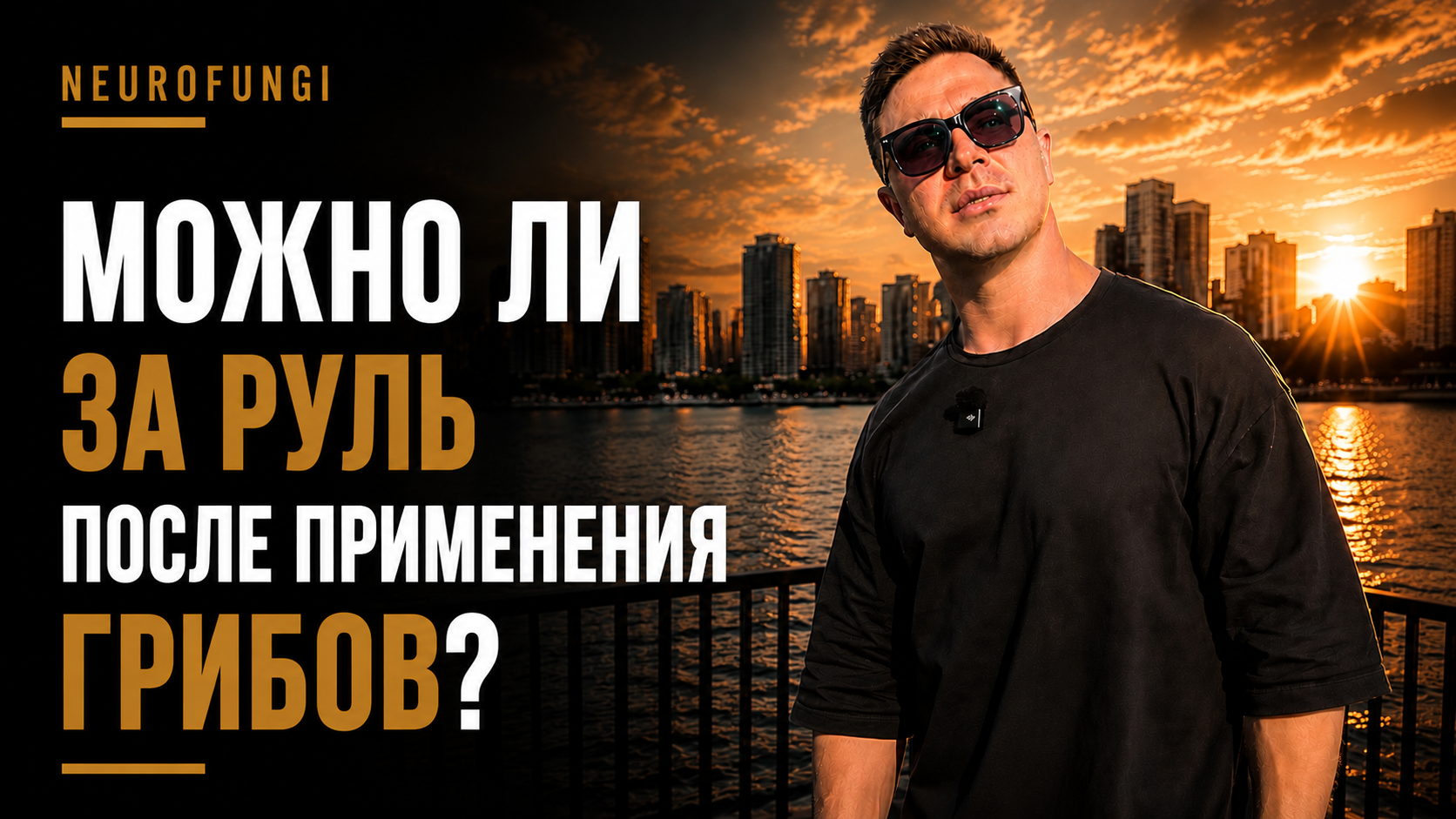 Можно ли за руль после применения грибов?