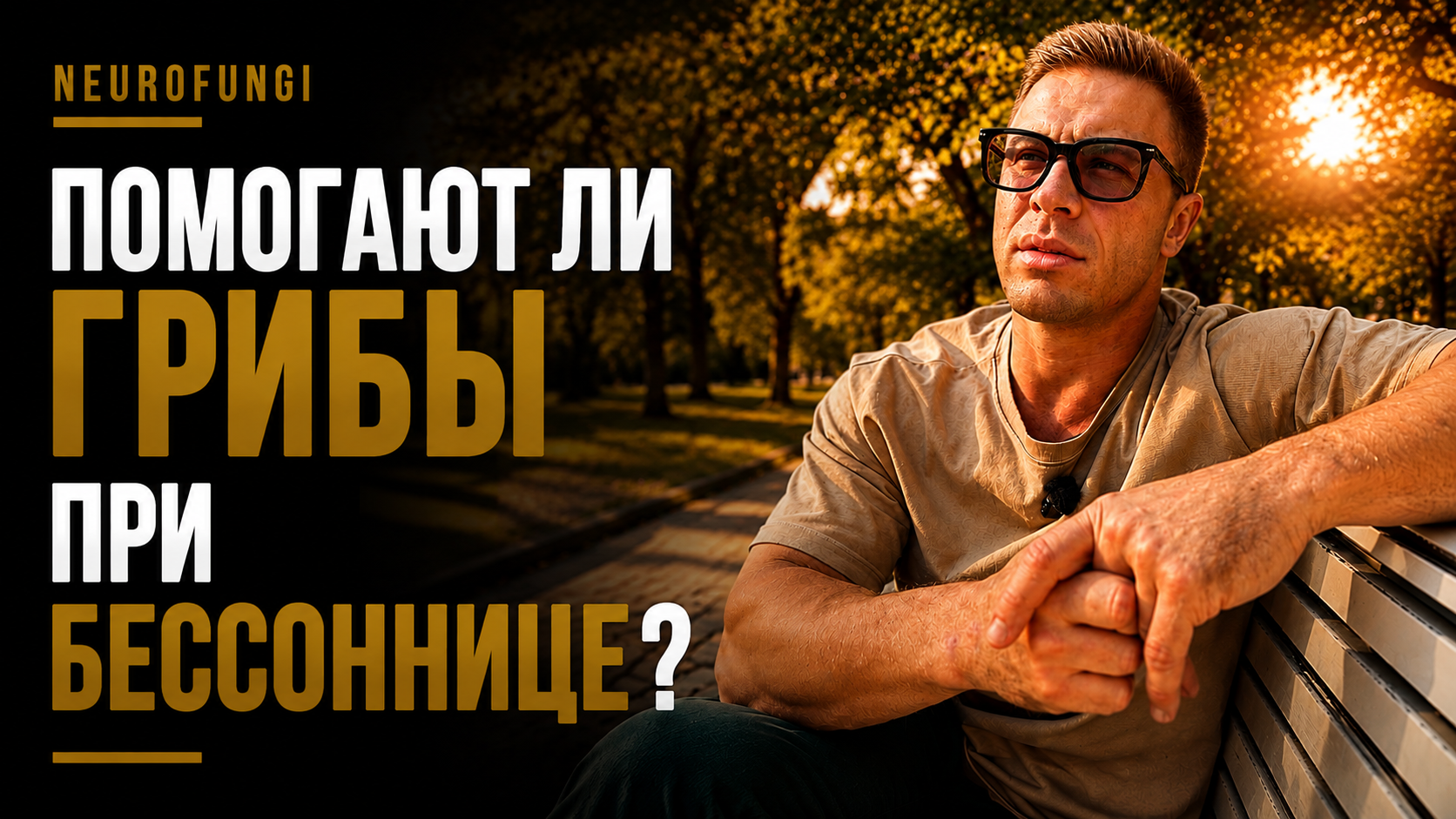 Помогают ли грибы при бессоннице?
