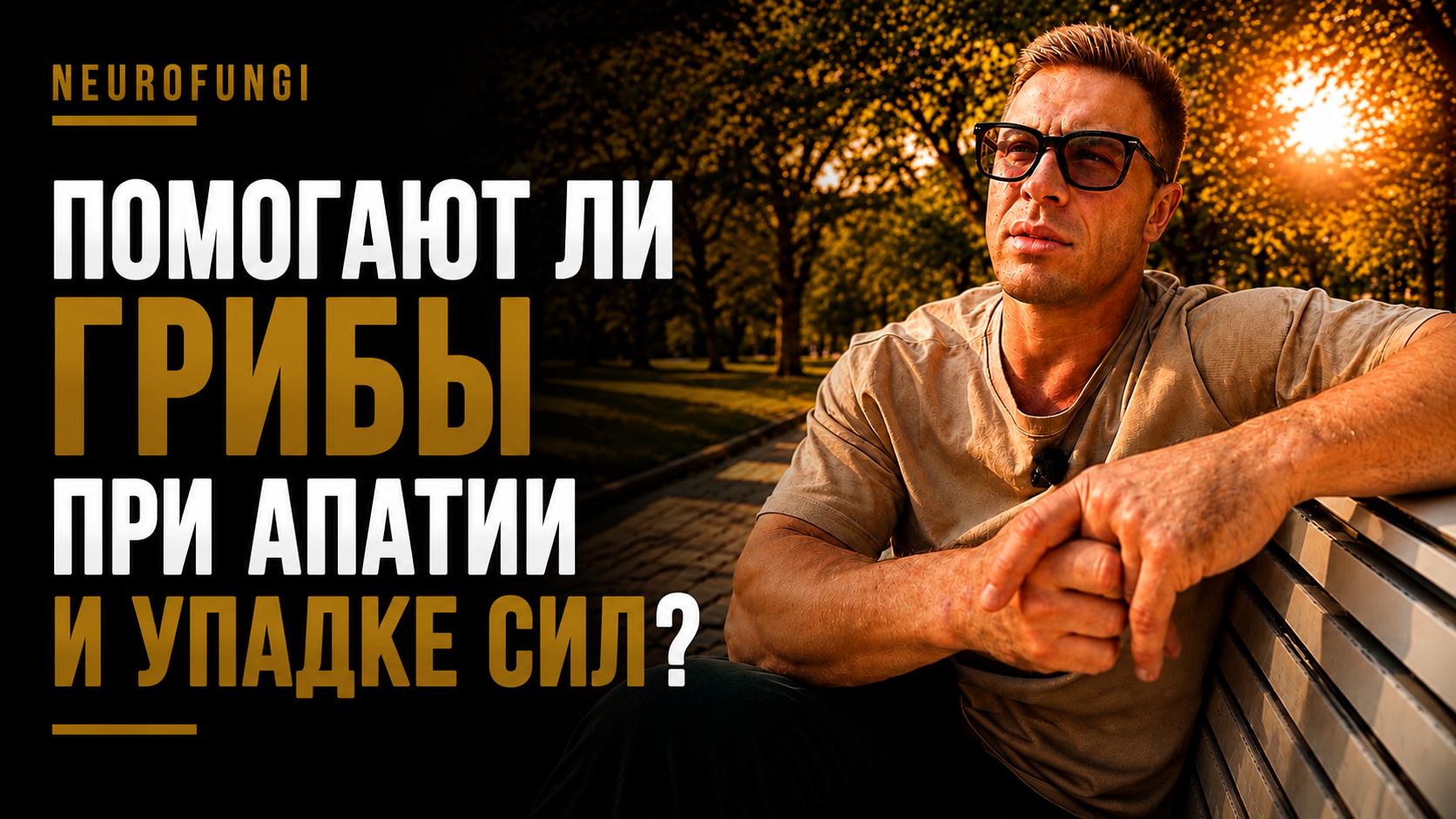 Помогают ли грибы при апатии и упадке сил?