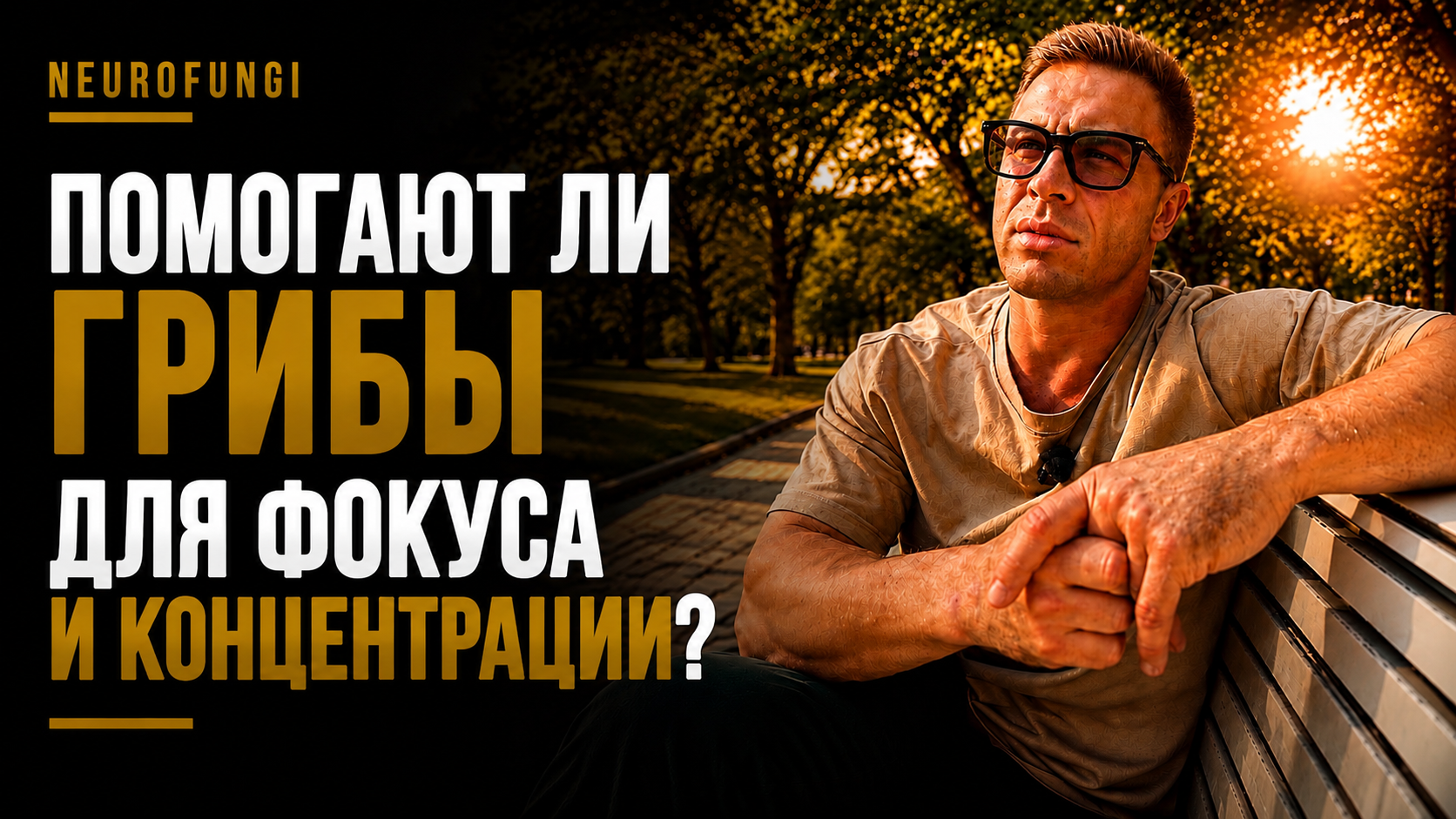 Помогают ли грибы для фокуса и концентрации?