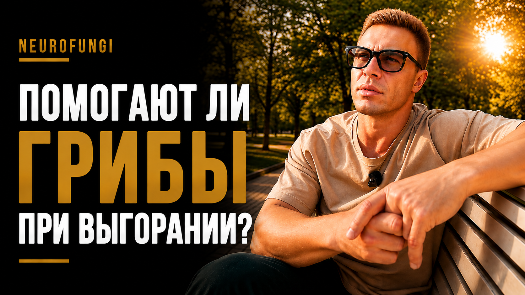 Помогают ли грибы  при выгорании?