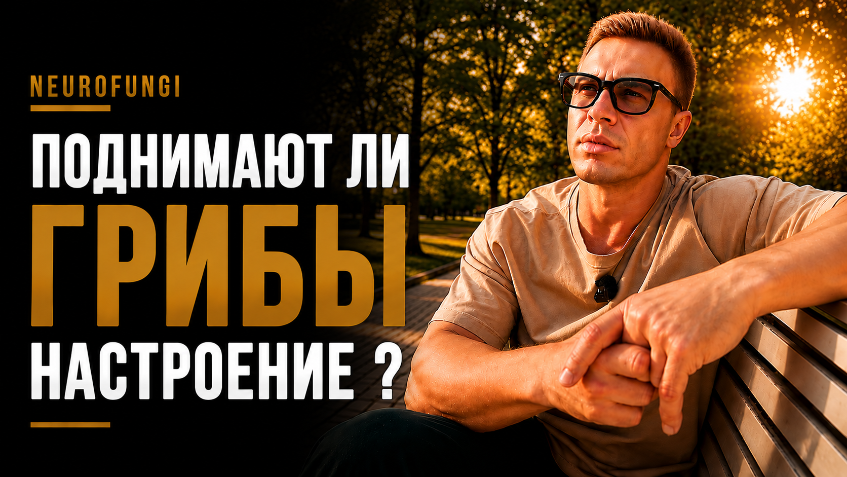 Поднимают ли грибы настроение ?