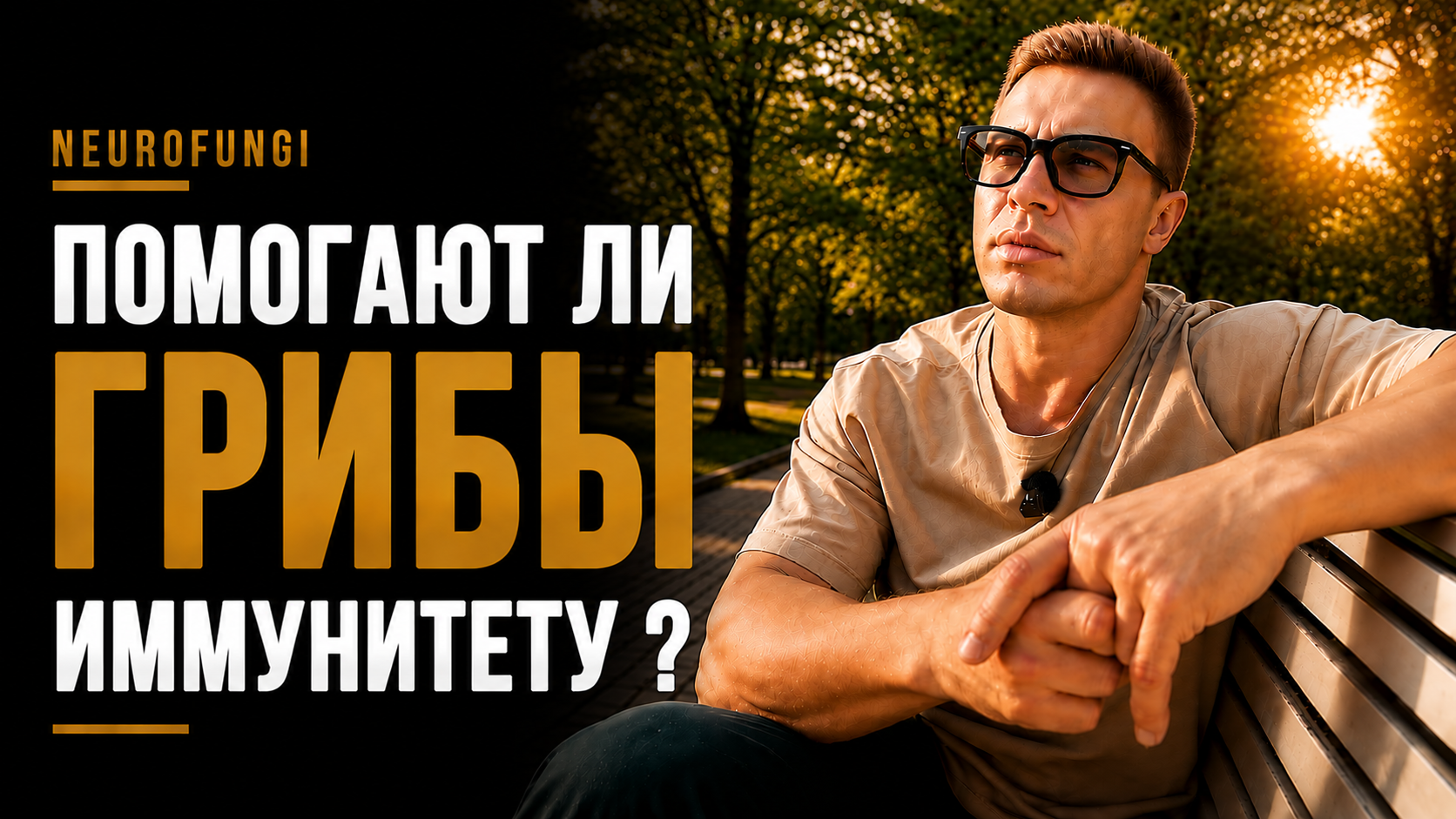 Помогают ли грибы иммунитету ?