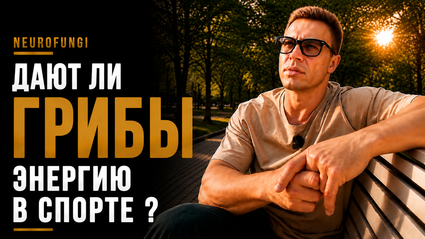 Дают ли грибы энергию в спорте ?