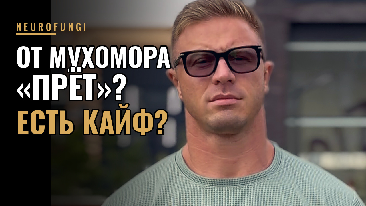 От мухомора «прёт»? Есть кайф?