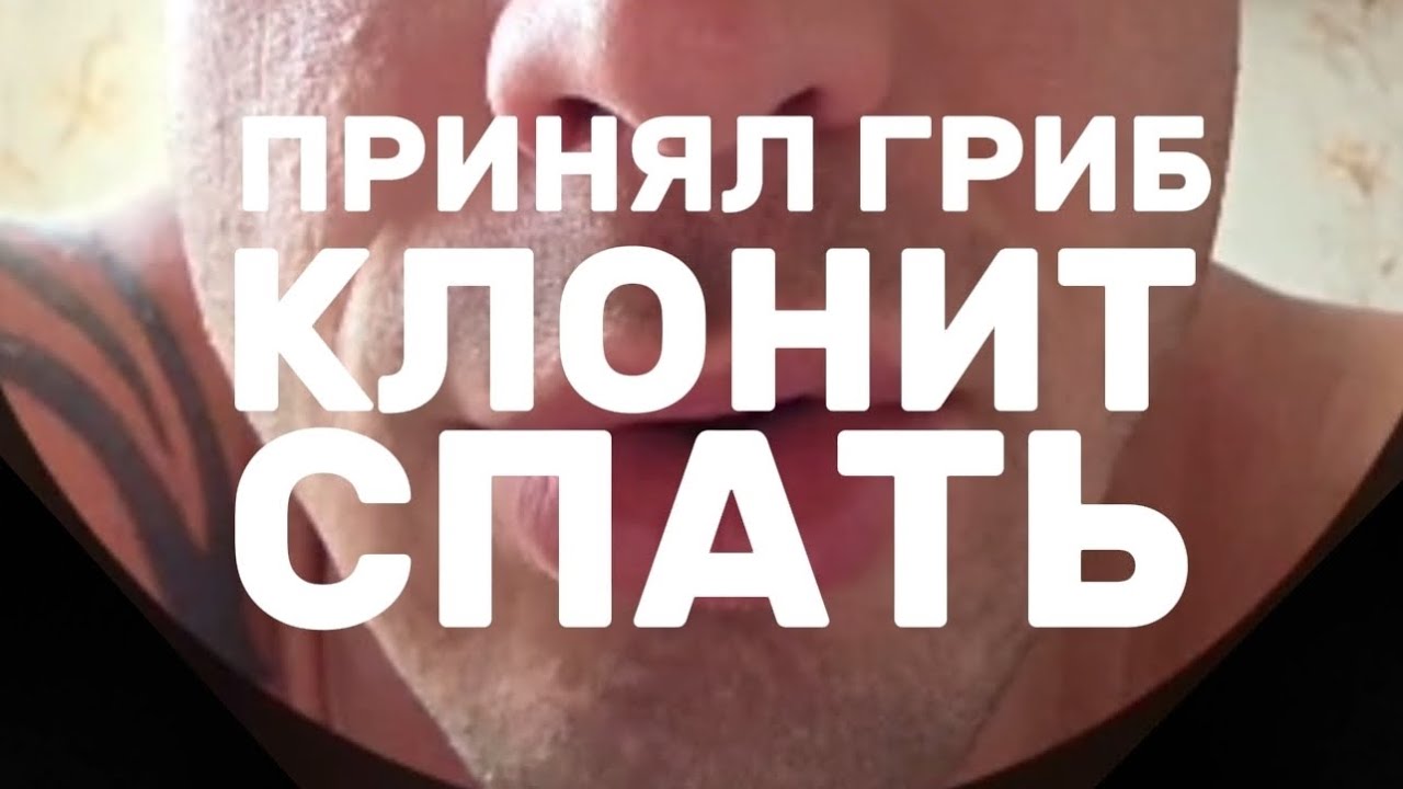 Почему клонит в сон?