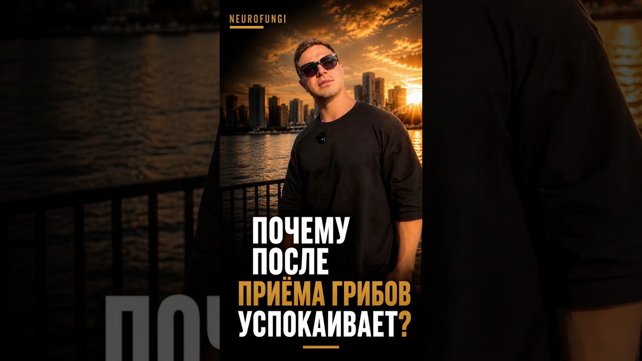 Почему после приёма грибов успокаивает?